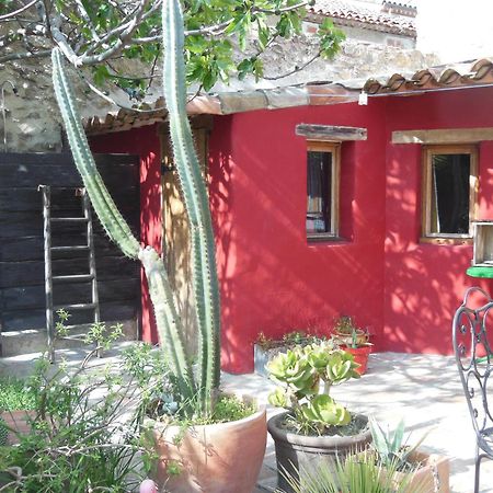 Maison Dans Jardin Villeseque-des-Corbieres Luaran gambar