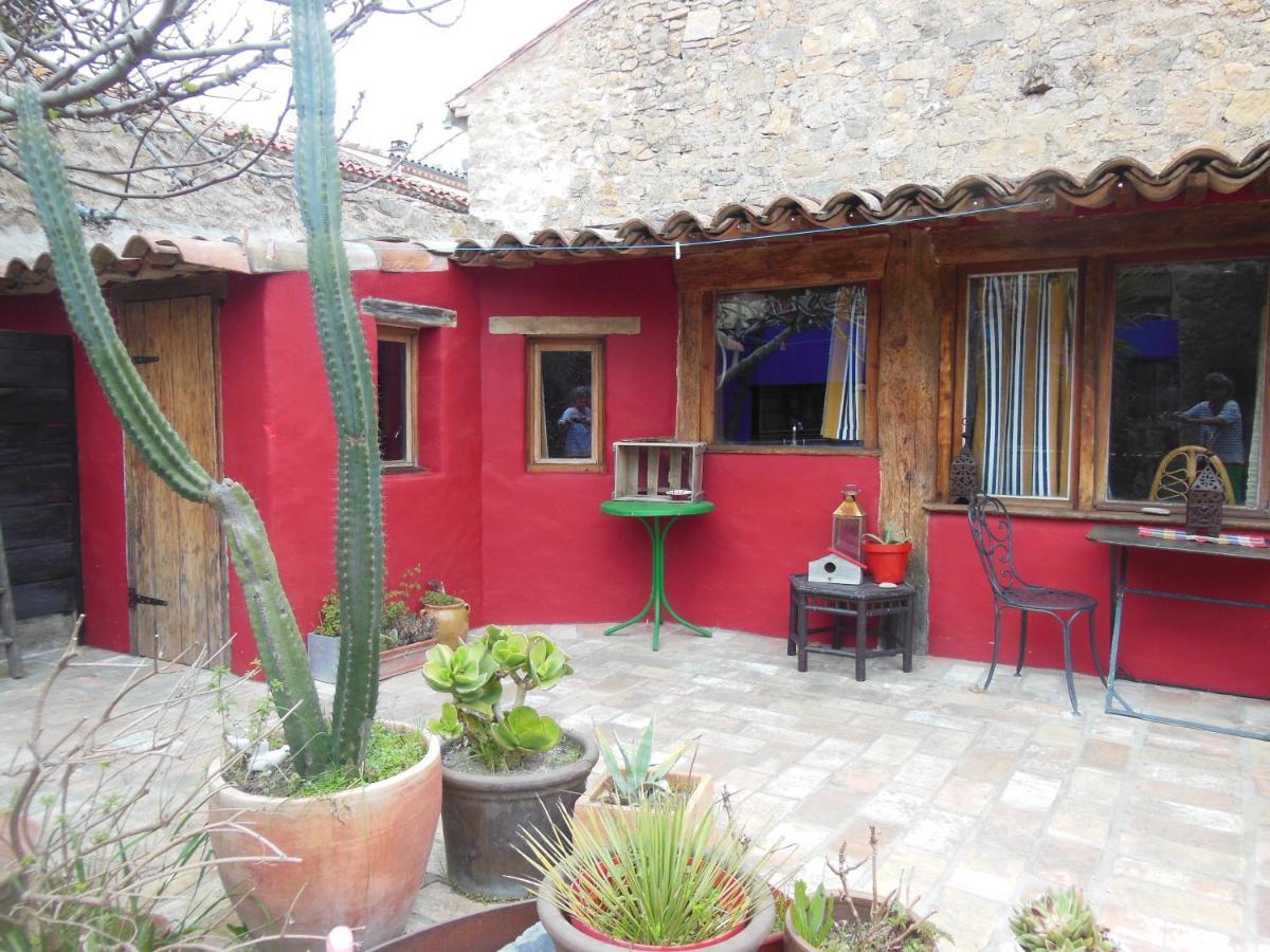 Maison Dans Jardin Villeseque-des-Corbieres Luaran gambar